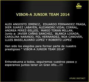 Vibor-A Team Junior 2014