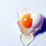 Membrana de huevo: Un aliado perfecto para combatir el dolor en las articulaciones Membrana de huevo: Un aliado perfecto para combatir el dolor en las articulaciones