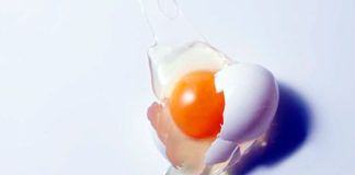 Membrane d'œuf: un allié parfait pour lutter contre les douleurs articulaires