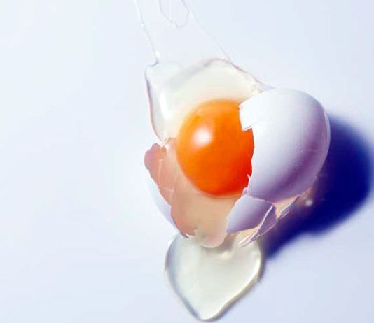 غشاء البيض: حليف مثالي لمكافحة آلام المفاصل