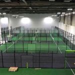 Zlatan Ibrahimovic will open a paddle tennis club in Sweden
