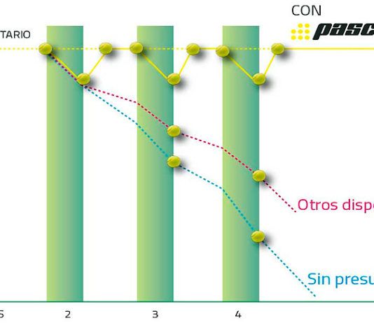 Kelme y Pascal Box ‘sellan’ su compromiso