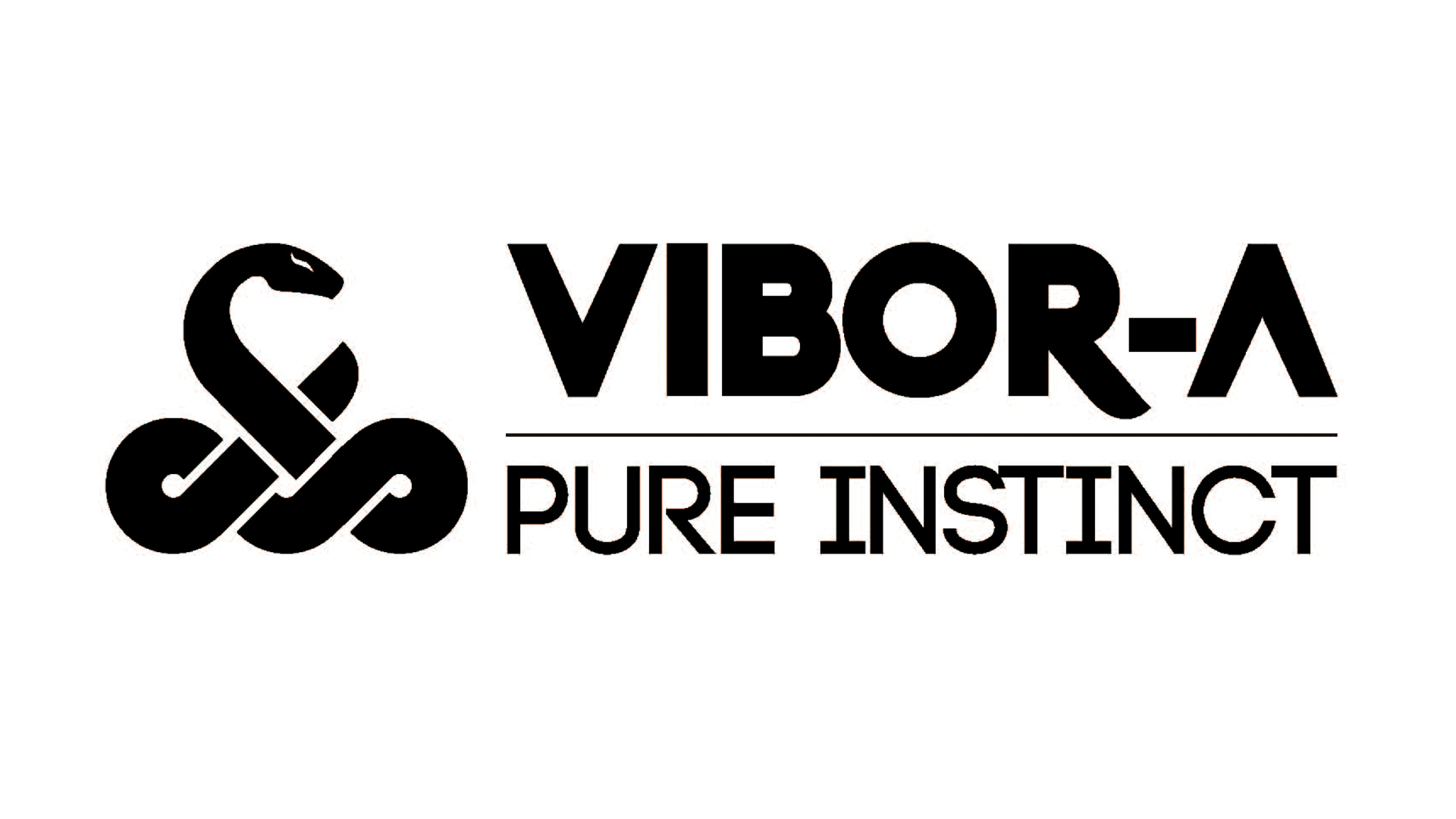 Logo Vibor-A